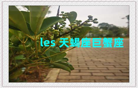 les 天蝎座巨蟹座